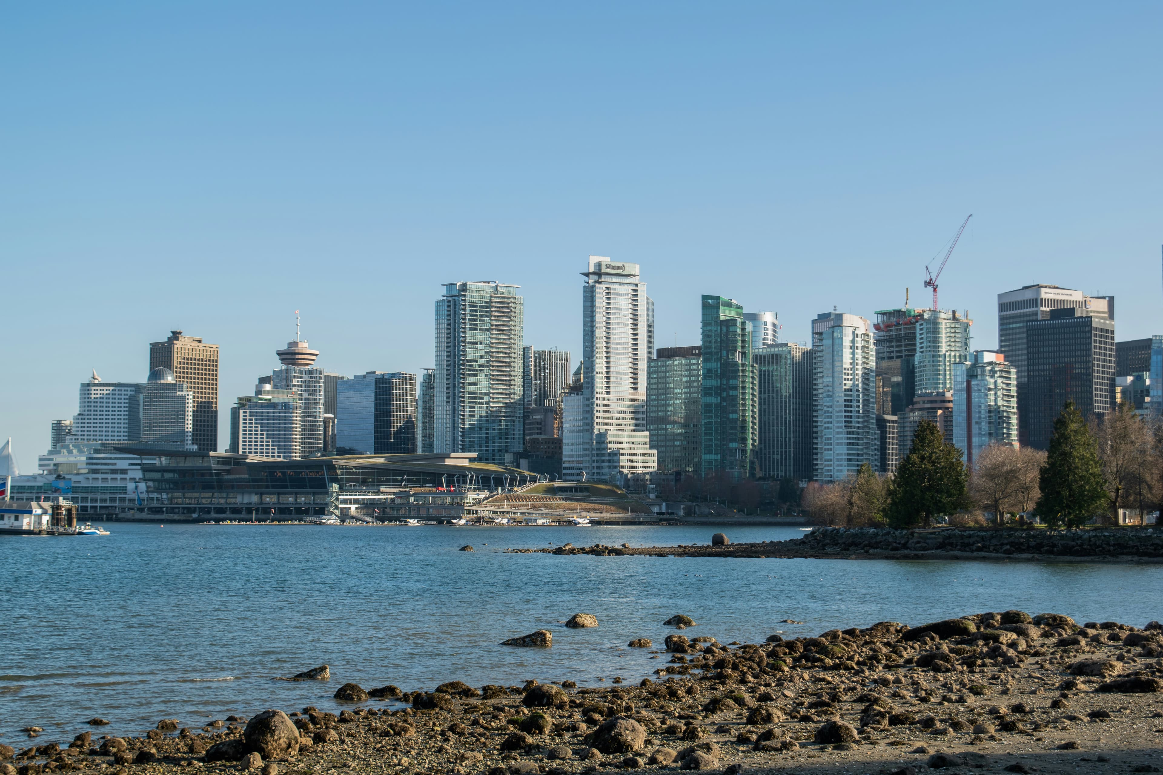 Seawall walking tour